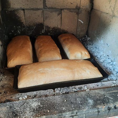 Casuta Bunicilor Villa Pucioasa Exteriör bild